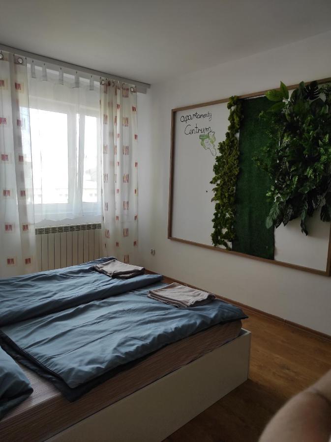 Apartamenty Centrum Wałbrzych Extérieur photo